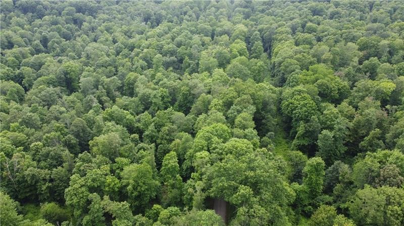 Sandy Lake Twp, Pennsylvania 16342, United States, ,Residential,Active,173882