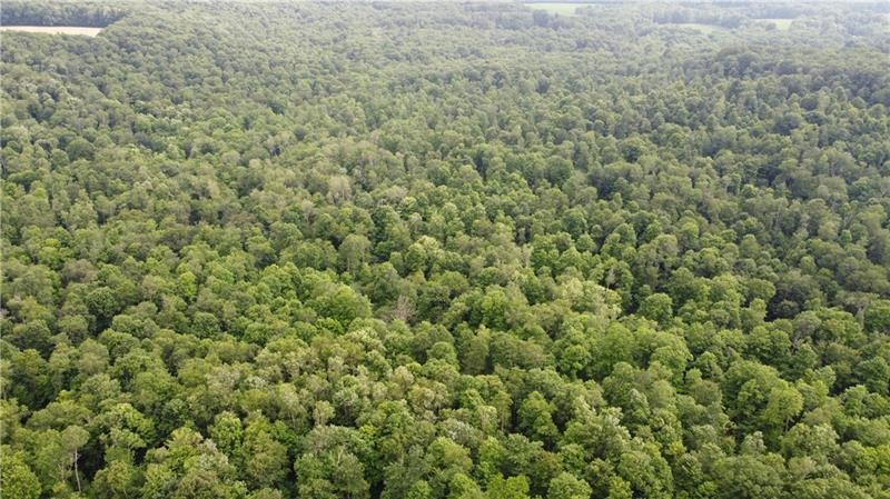 Sandy Lake Twp, Pennsylvania 16342, United States, ,Residential,Active,173882