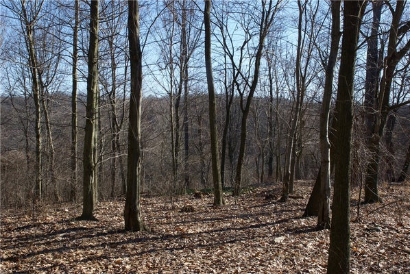 AUDUBON RD, SEWICKLEY, PA 15143 - Image 1b955d324cc07ef600d13ccde13159d0/43323945