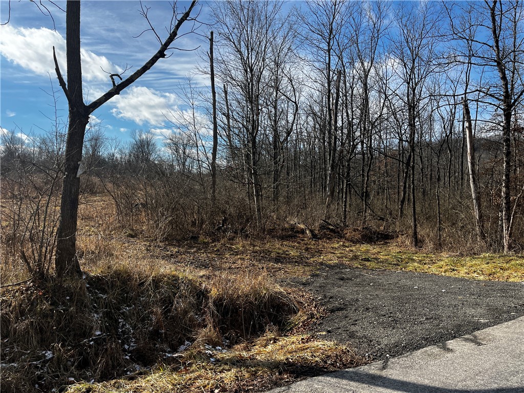 Lot 1, #2 Waycross Rd