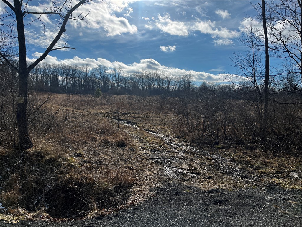 Lot 1, #2 Waycross Rd