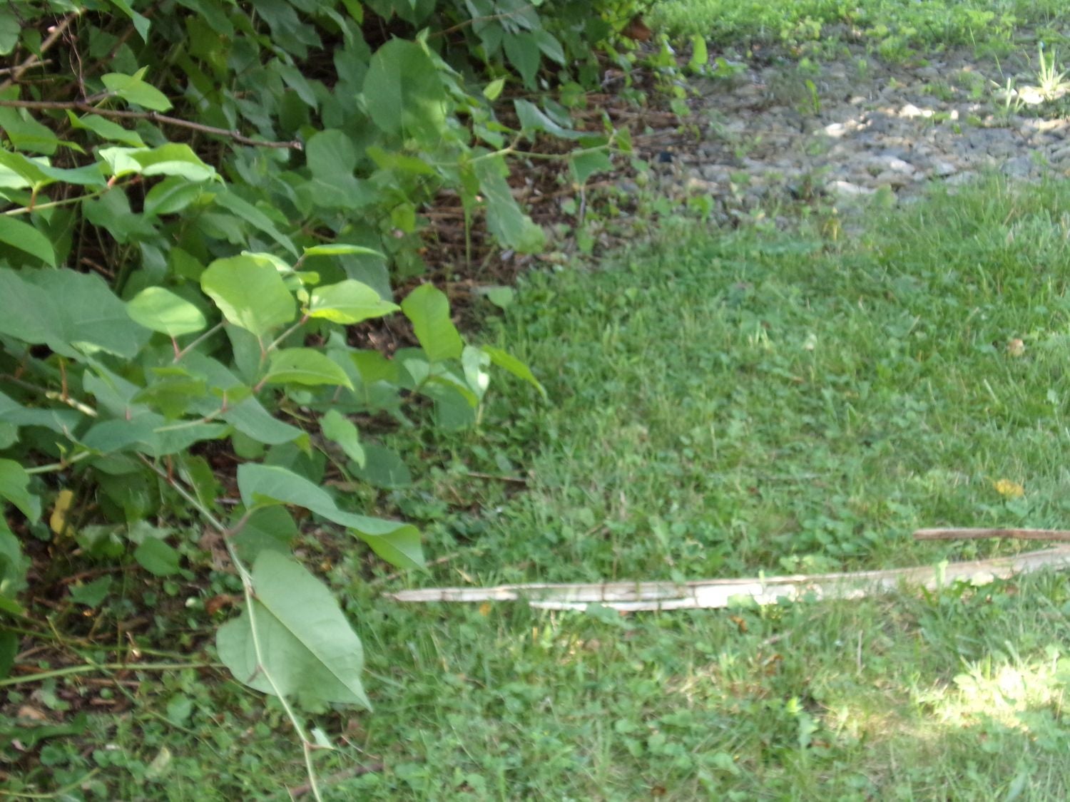 Lot 9 Applewood Dr