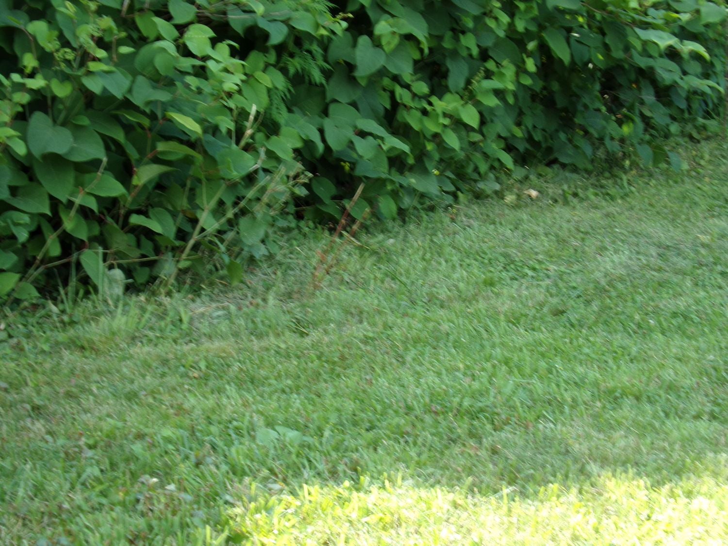 Lot 9 Applewood Dr