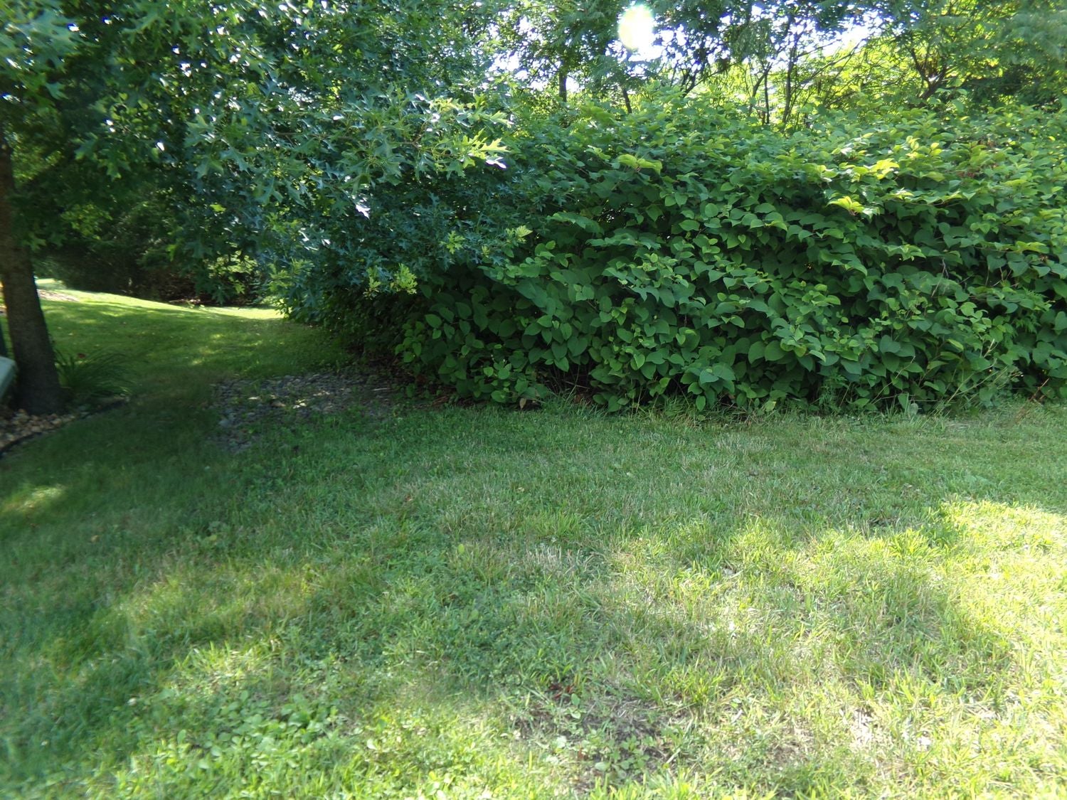 Lot 9 Applewood Dr