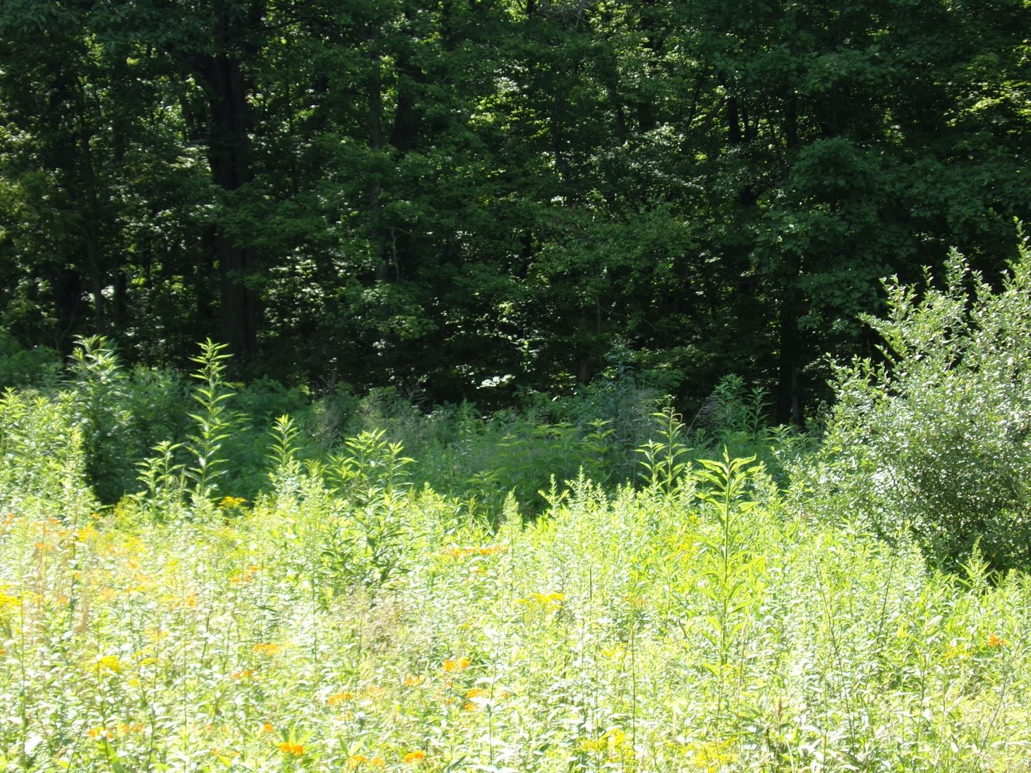 Lot 9 Applewood Dr