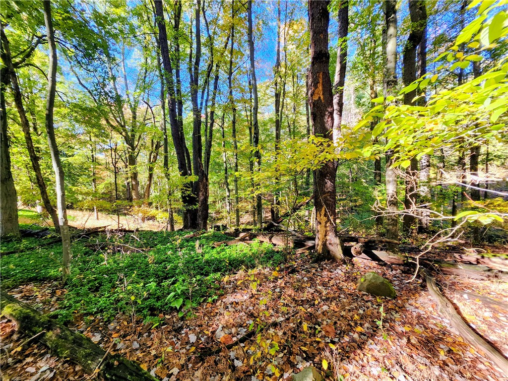 Unity Twp, Pennsylvania 15601, United States, 4 Bedrooms Bedrooms, ,2 BathroomsBathrooms,Residential,Active,231820