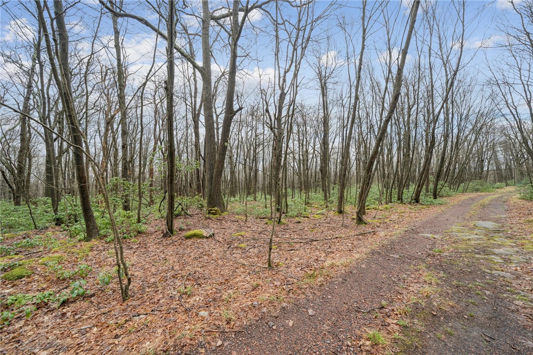 Lot 586 Zermatt Road