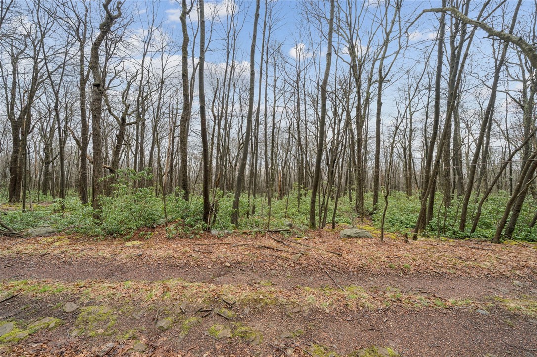 Lot 586 Zermatt Road