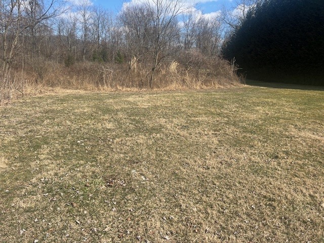Lot 40 Long Street Ext, Newell, Pennsylvania image 2
