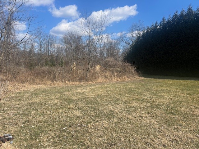 Lot 40 Long Street Ext, Newell, Pennsylvania image 3