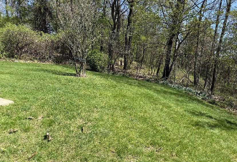 704 Ashley Lane, Murrysville, Pennsylvania image 19