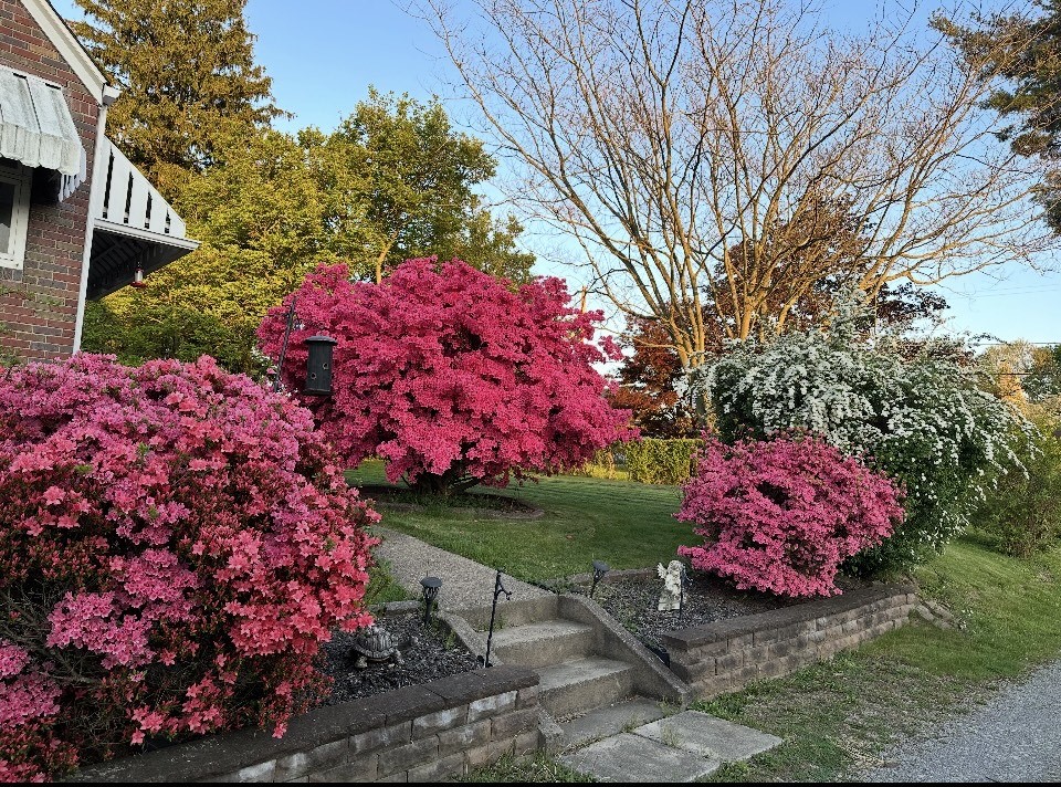 Cheswick, Pennsylvania 15024, United States, 3 Bedrooms Bedrooms, ,2 BathroomsBathrooms,Residential,Active,166597