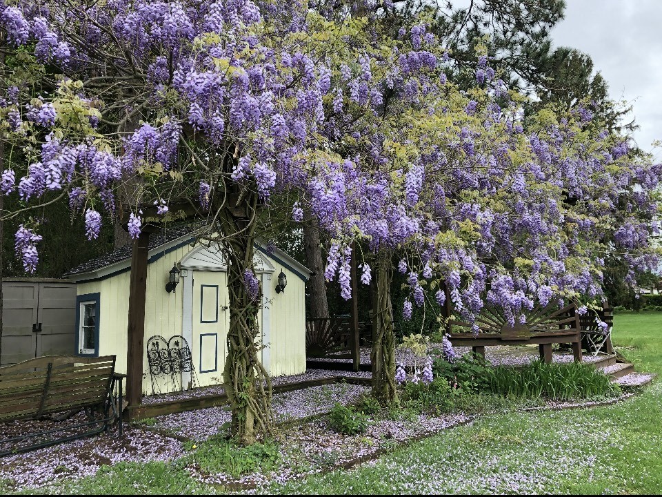 Cheswick, Pennsylvania 15024, United States, 3 Bedrooms Bedrooms, ,2 BathroomsBathrooms,Residential,Active,166597