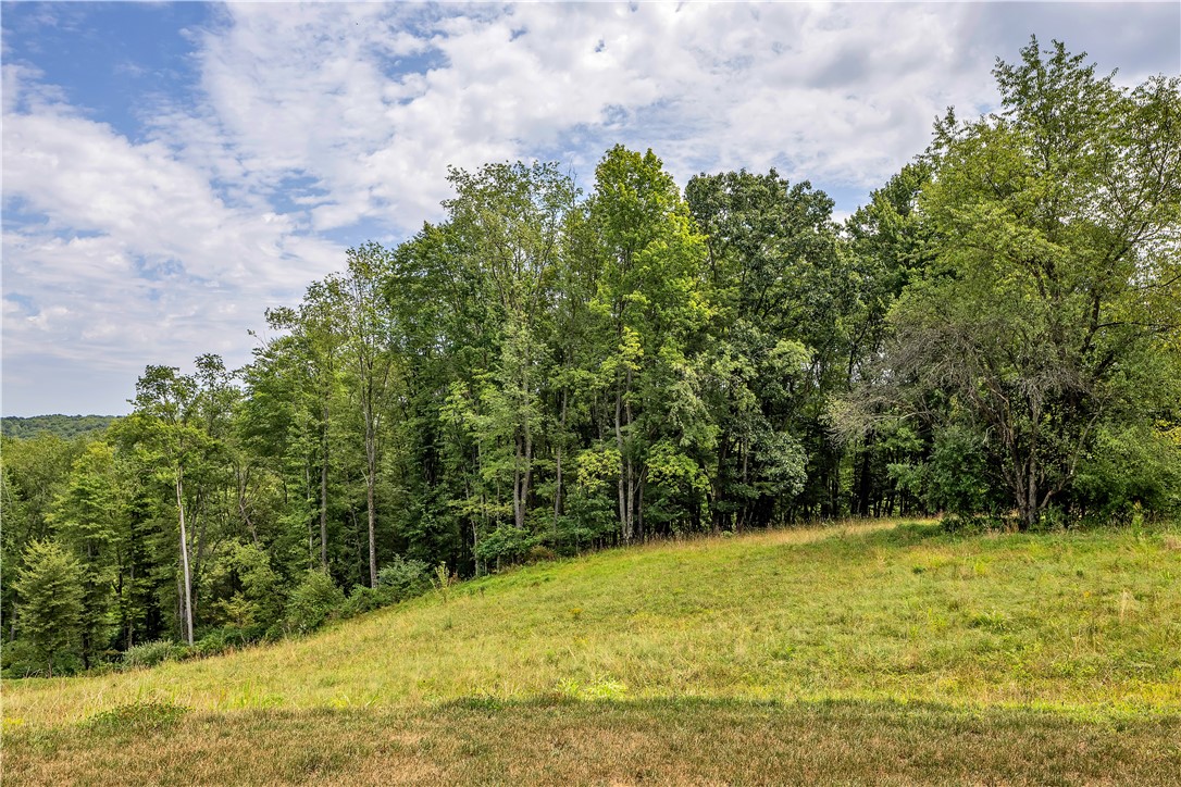 1124 Autumn Woods Dr.