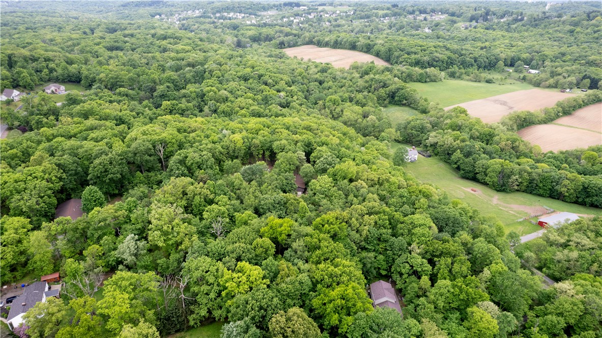 39 Leibolt Ct