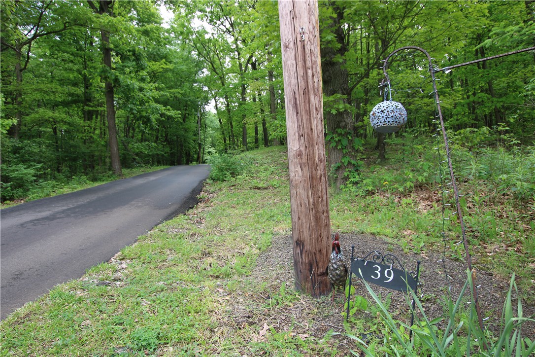 39 Leibolt Ct