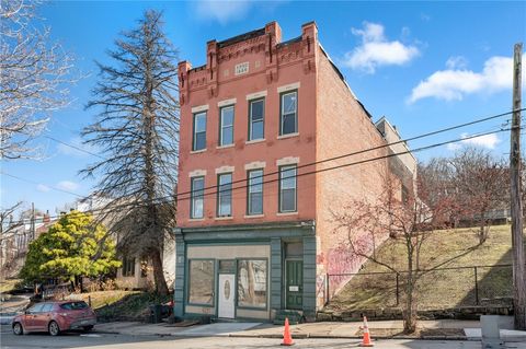 1040 Herron Ave Polish Hill PA 15219