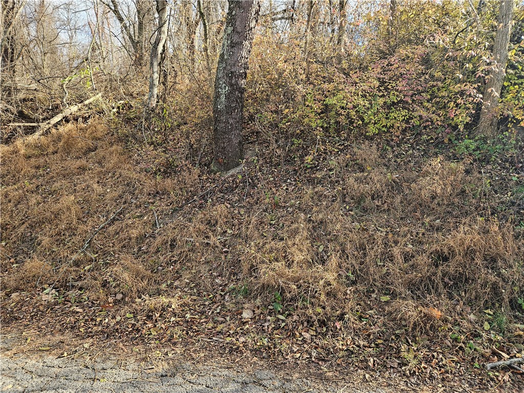 Lot 10-11 Arch St