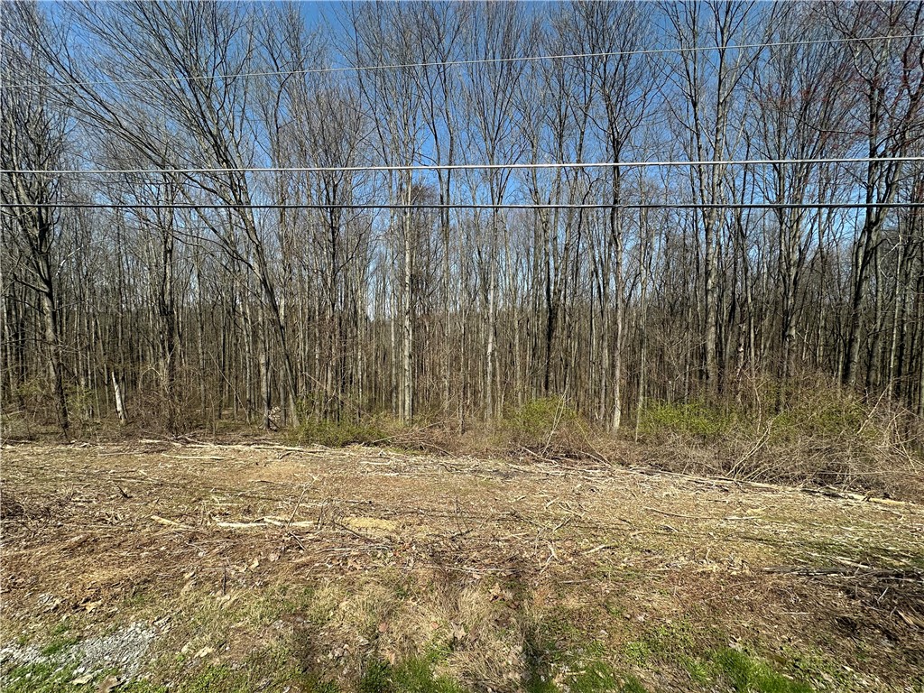 1129 Fox Dr