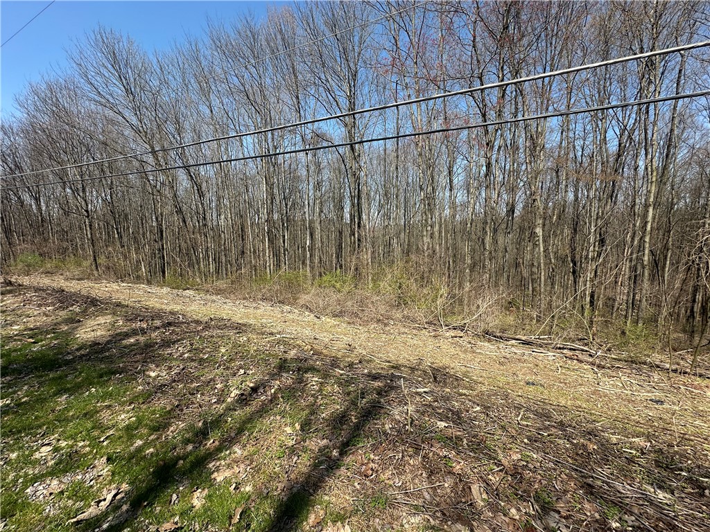 1129 Fox Dr