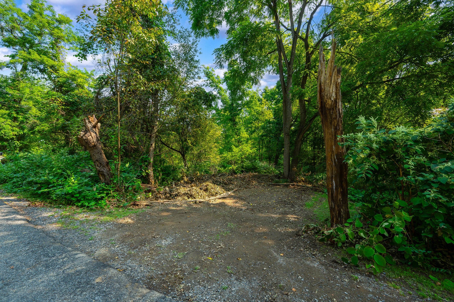 00 Oakvale Boulevard