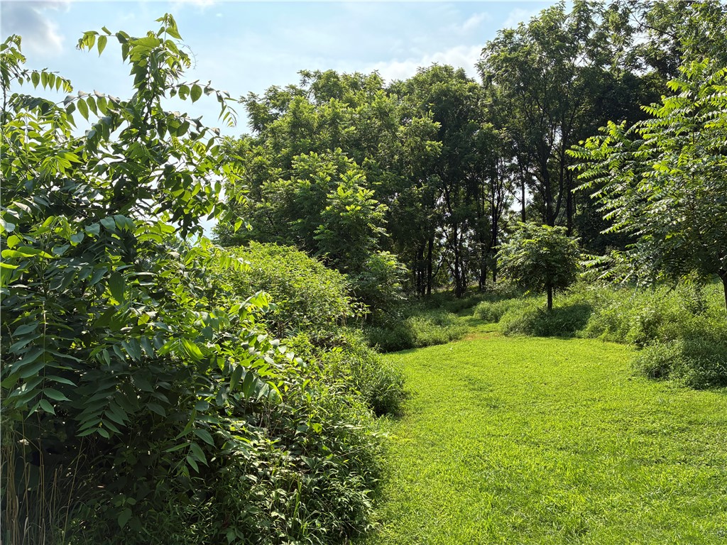 Delmont, Pennsylvania 15626, United States, ,Residential,Active,187728