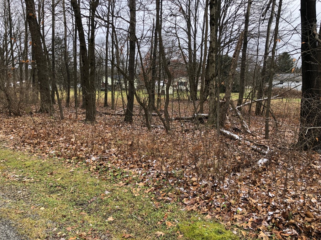 Lot 32 Parallel St, Pleasantville, Pennsylvania image 7