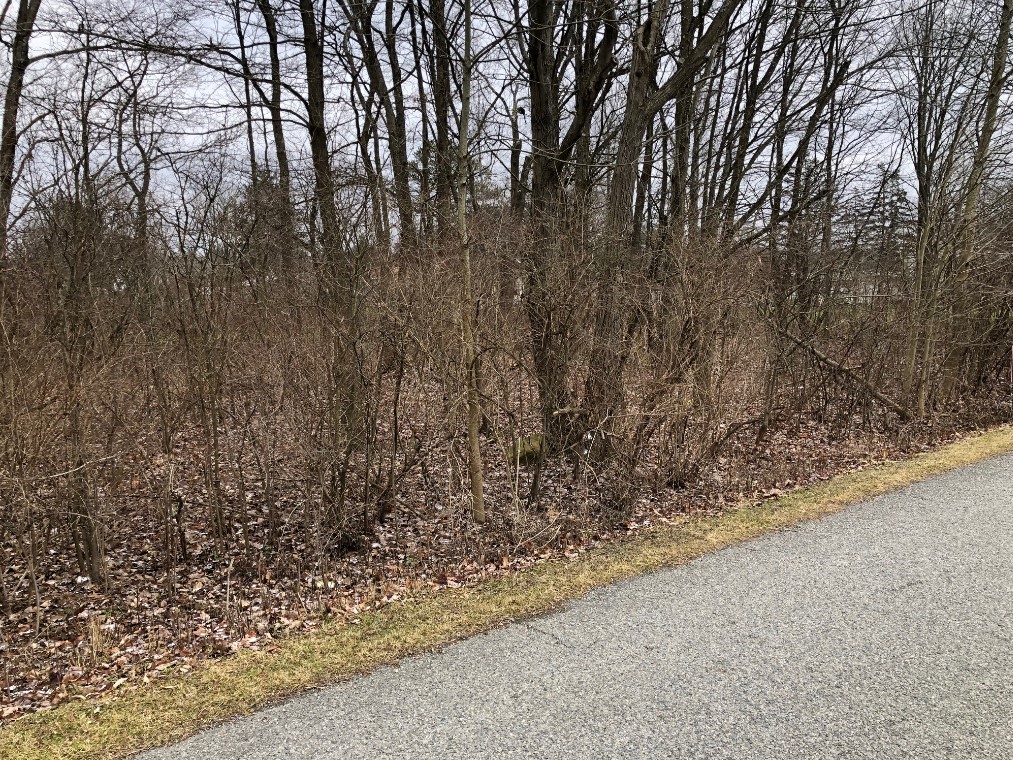 Lot 32 Parallel St, Pleasantville, Pennsylvania image 4