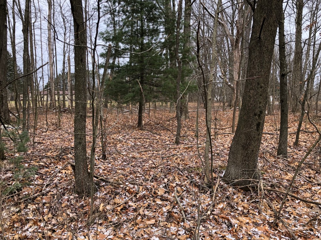 Lot 32 Parallel St, Pleasantville, Pennsylvania image 9