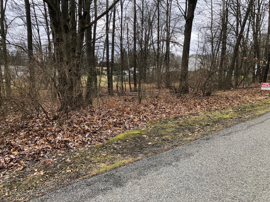 Lot 32 Parallel St