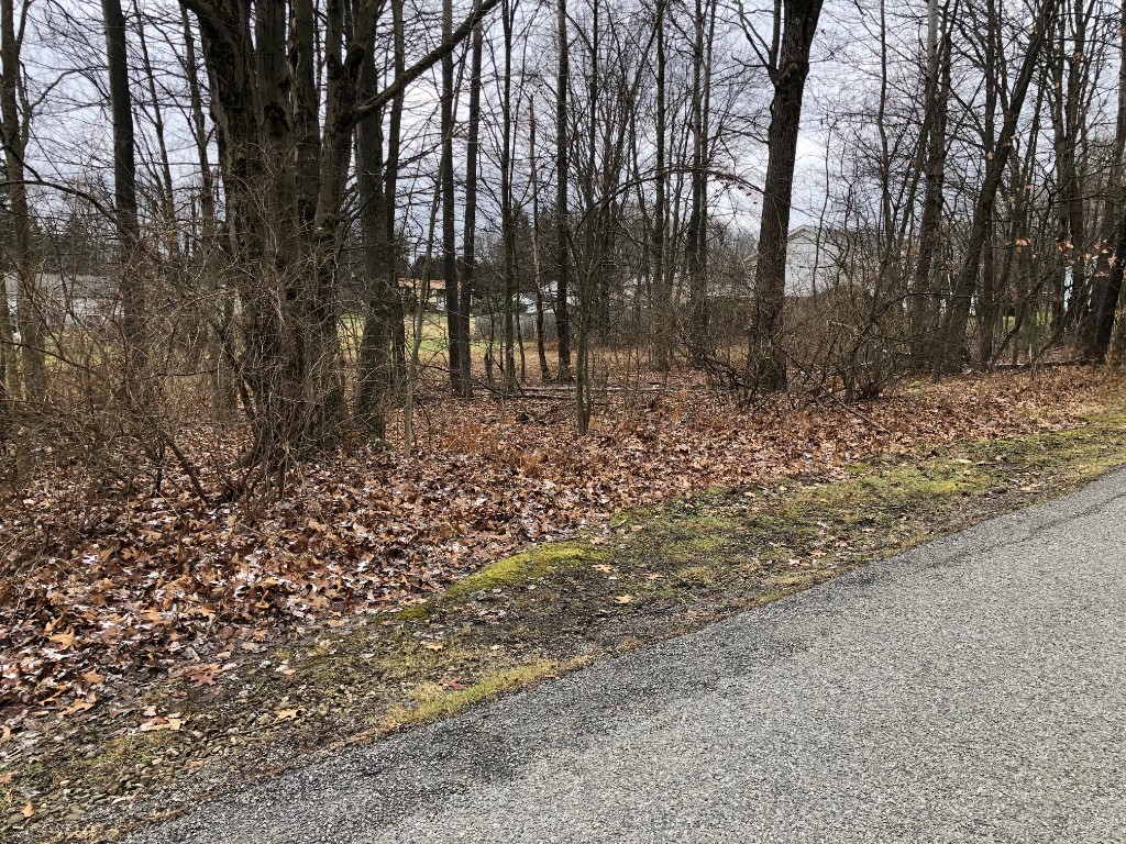 Lot 32 Parallel St, Pleasantville, Pennsylvania image 3