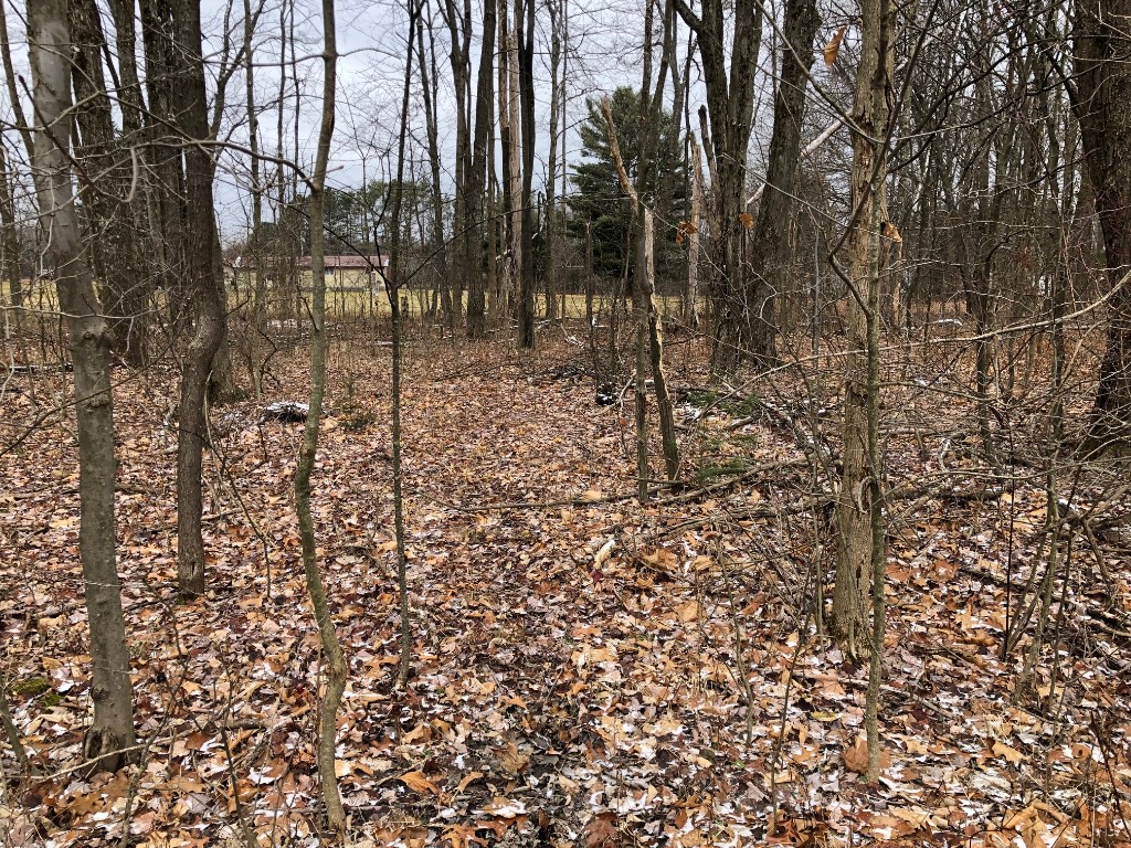 Lot 32 Parallel St, Pleasantville, Pennsylvania image 11