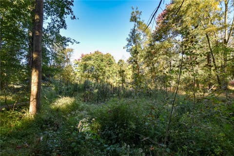 Photo for Lot Neupert Rd.