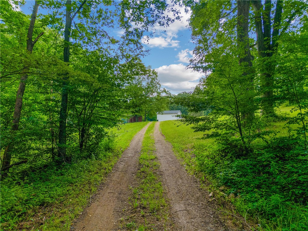 South Fork, Pennsylvania 15956, United States, 3 Bedrooms Bedrooms, ,2 BathroomsBathrooms,Residential,Active,169613