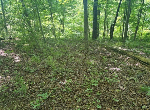 Vacant Land For Sale - Tr117-nr Woodside<br/> Nicholson Twp, PA 15478