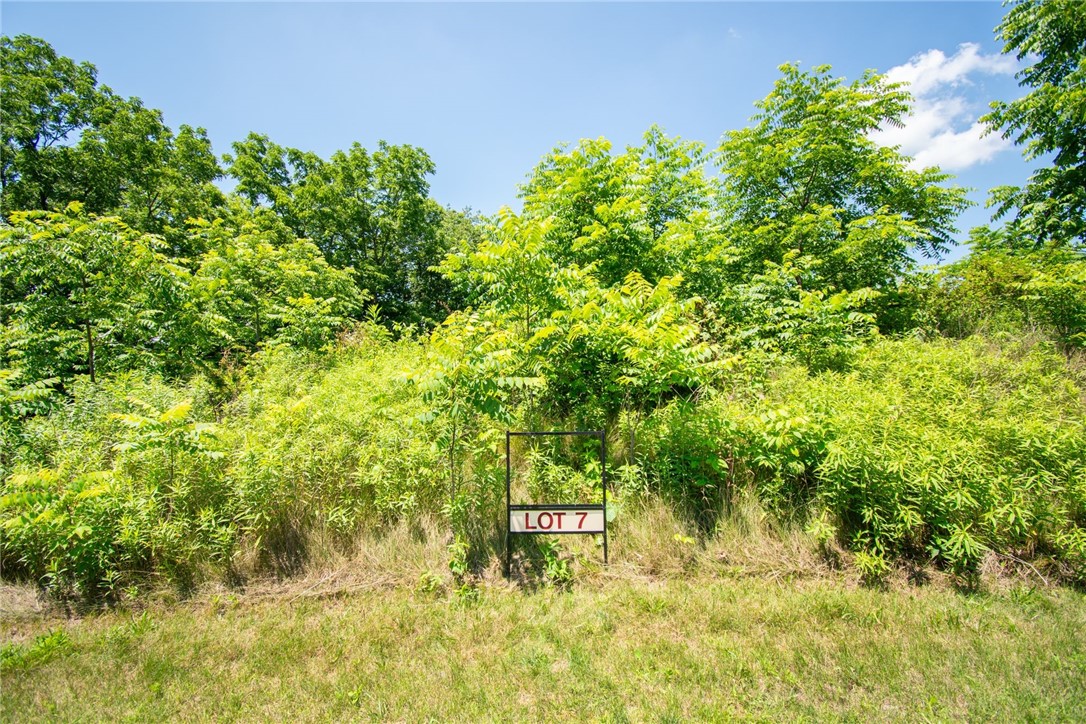 Photo 1 of 4 of Lot 7 Jamie Way land