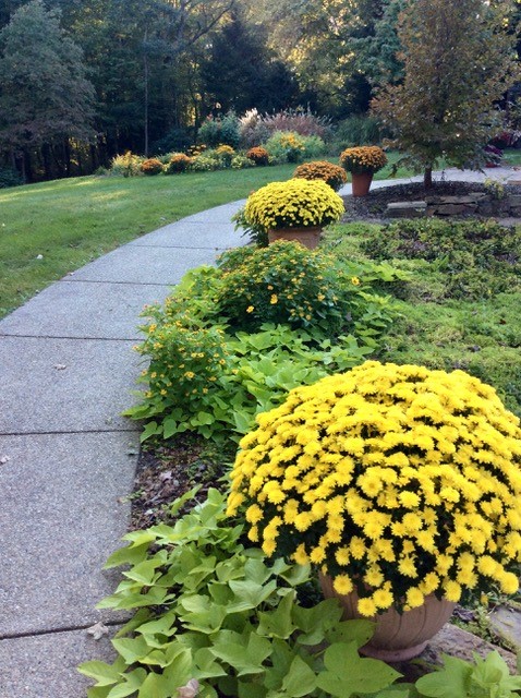 Big Beaver, Pennsylvania 16157, United States, 2 Bedrooms Bedrooms, ,2 BathroomsBathrooms,Residential,Active,228147