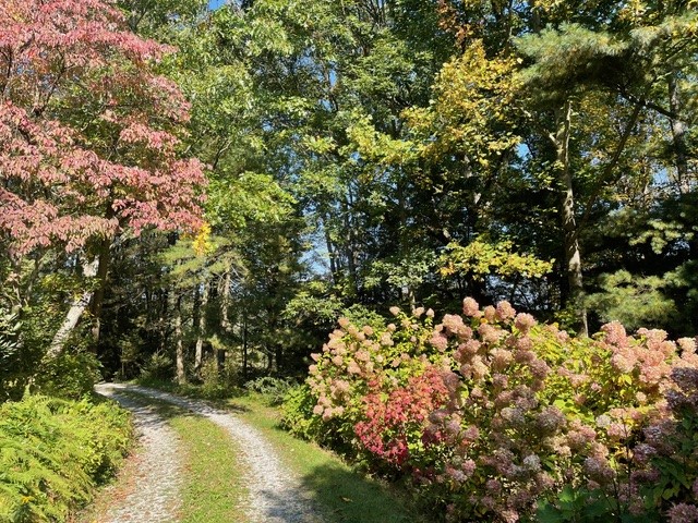 Big Beaver, Pennsylvania 16157, United States, 2 Bedrooms Bedrooms, ,2 BathroomsBathrooms,Residential,Active,228147