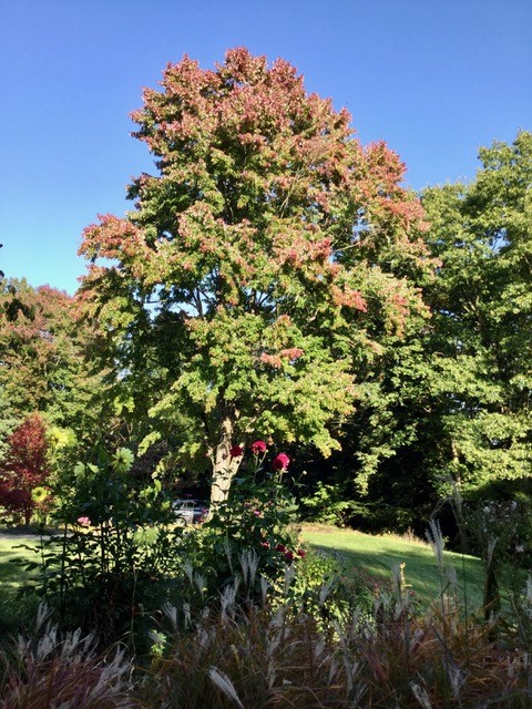 Big Beaver, Pennsylvania 16157, United States, 2 Bedrooms Bedrooms, ,2 BathroomsBathrooms,Residential,Active,228147