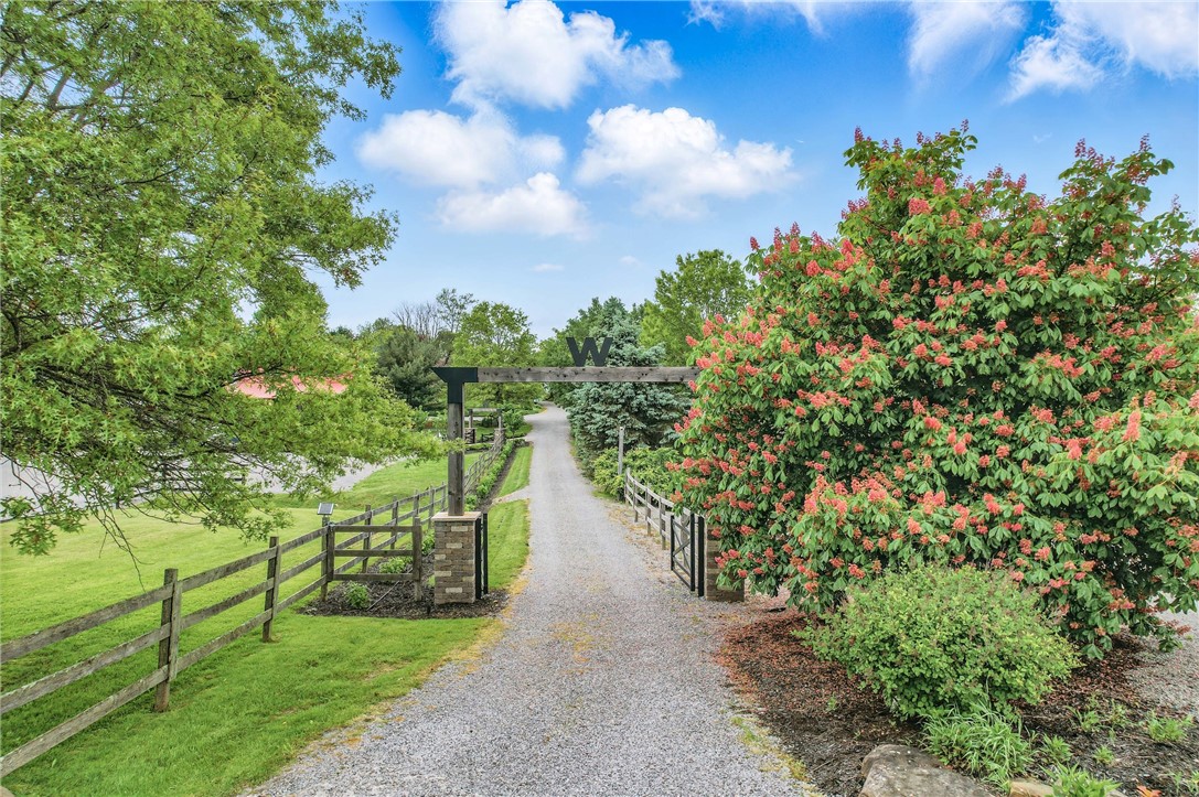 141 Black Rd