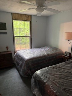 224 Camp Road Rd, Clarion, Pennsylvania image 10