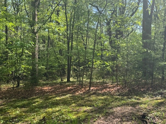 224 Camp Road Rd, Clarion, Pennsylvania image 19