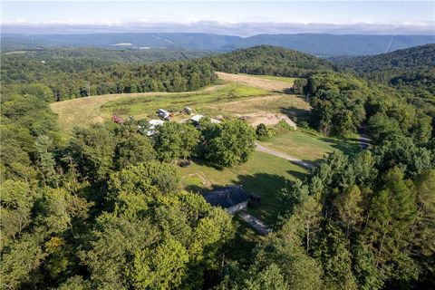 Vacant Land For Sale - Hutchison Hollow Rd<br/> Indiana County, E/W Wheatfield Twp, PA 15944