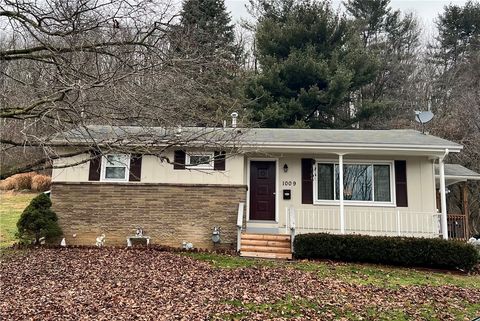 Photo of 1009 N Ashland Ave, New Castle, PA 16102 (MLS # 1735371)