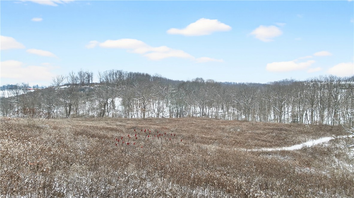 3942 Potato Garden Run Rd