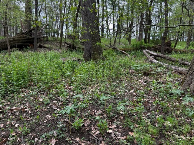Lot 216 Thompsonville Road