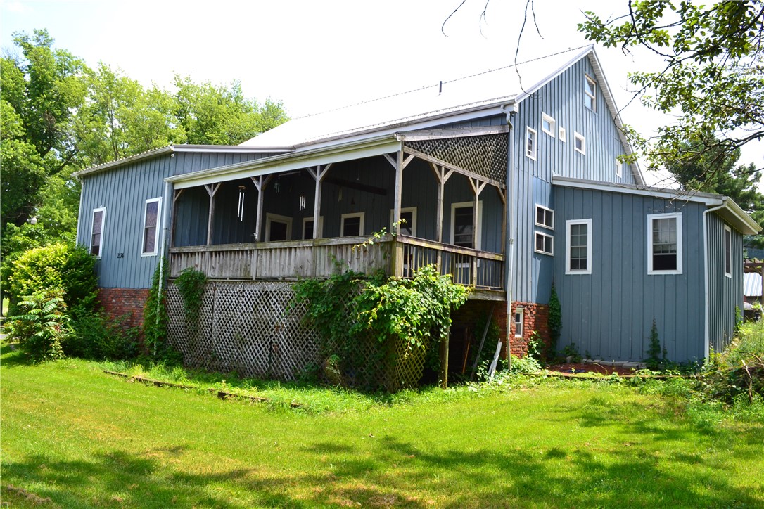 274 Gressly