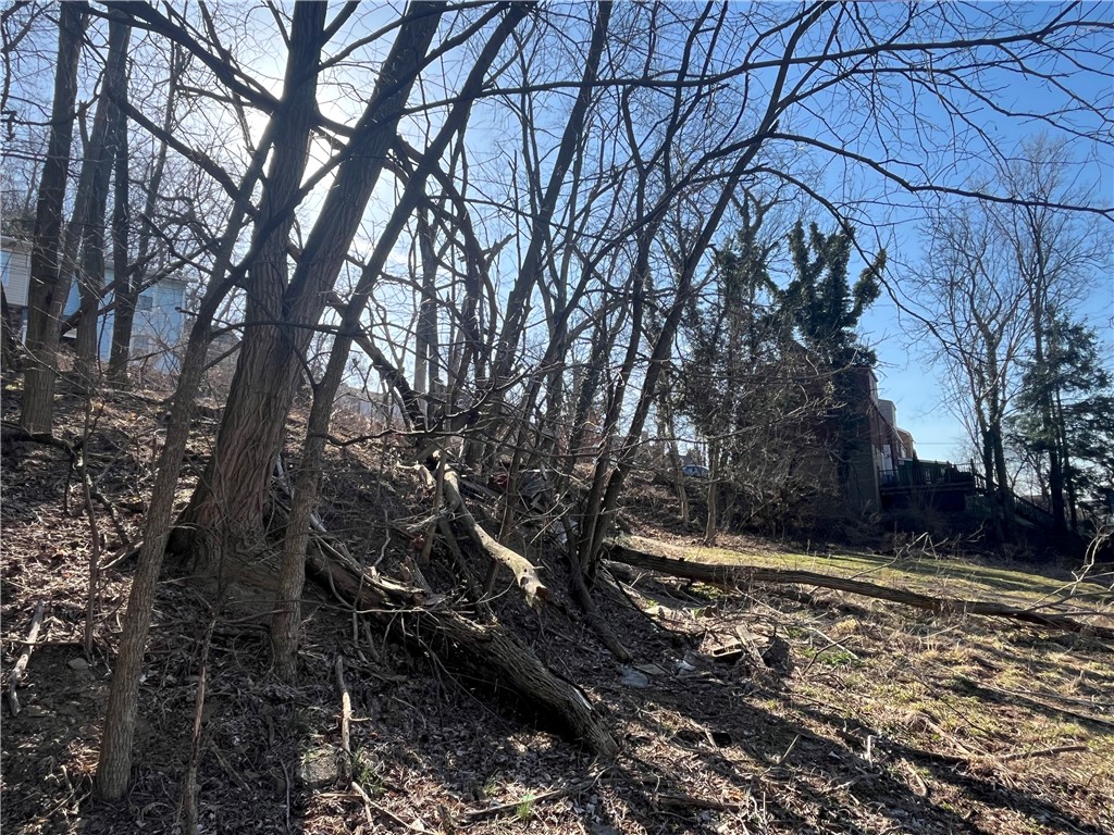 Bellevue, Pennsylvania 15202, United States, ,Residential,Active,89349