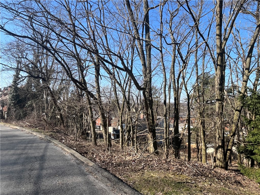 Bellevue, Pennsylvania 15202, United States, ,Residential,Active,89349