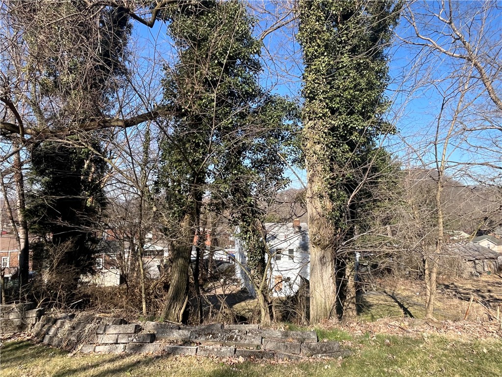 Bellevue, Pennsylvania 15202, United States, ,Residential,Active,89349